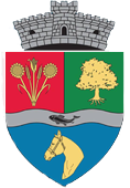 Primaria Comunei Tulucești - Servicii Locale și Informații Publice